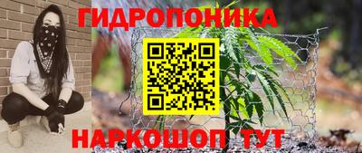альфа пвп Кингисепп